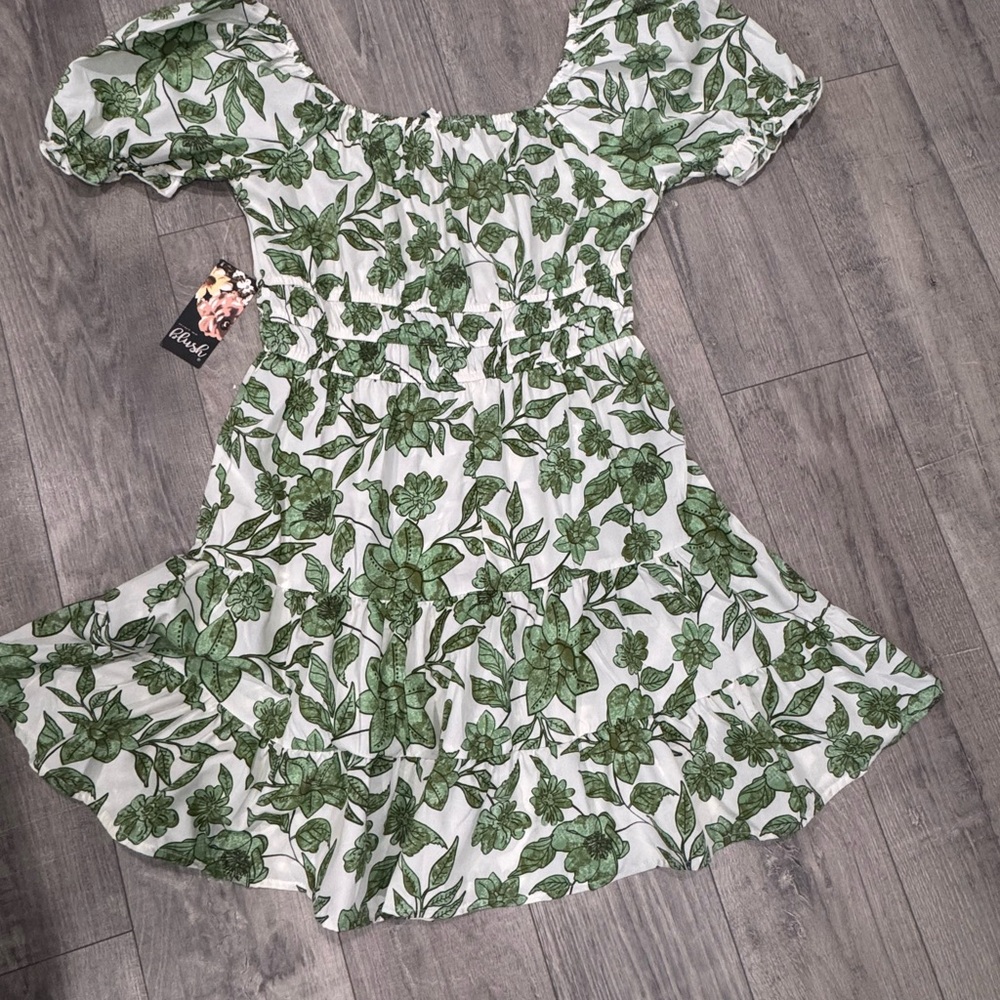 Blush Green Floral Mini Dress